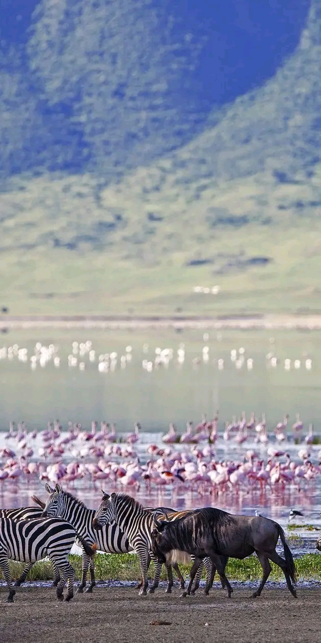 4 Days private Mara River Crossing Migration in Serengeti 