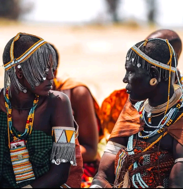 9 Days Private Experience Tanzania Safari and culture tour 