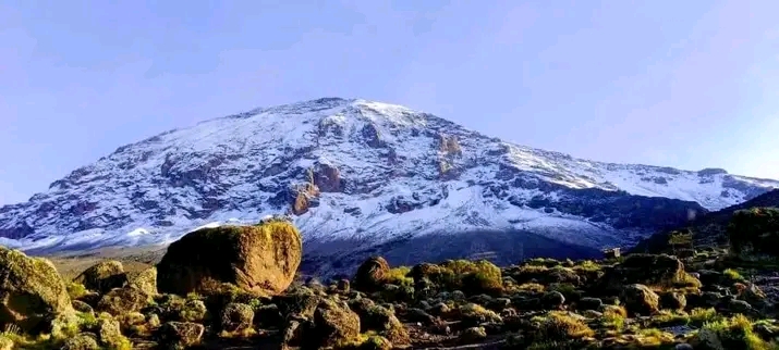 7 Days Rongai Route Kilimanjaro Trekking 