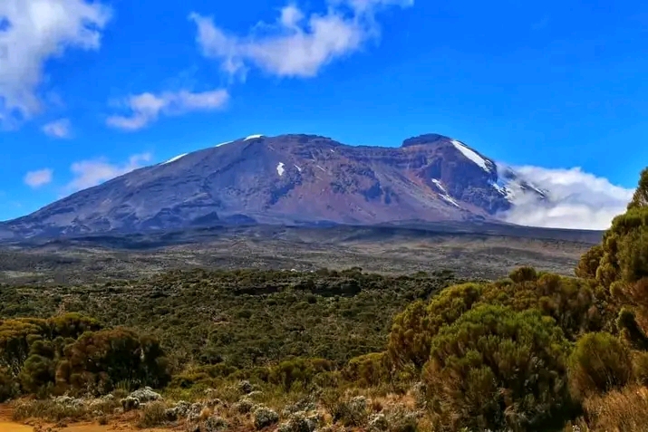 Kilimanjaro National park Day Tour Tour 