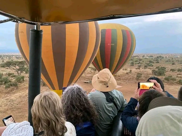 1 Day Tanzania Safari 