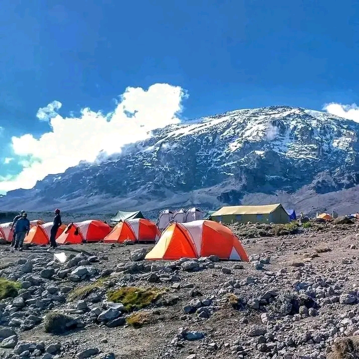 7 Days Lemosho Route Kilimanjaro climbing 
