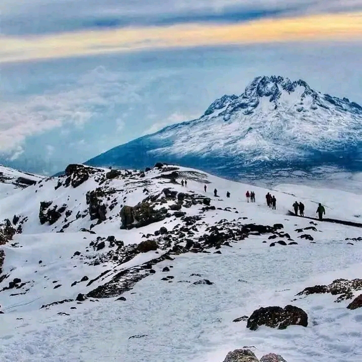 8 Days Mount Kilimanjaro Trekking Lemosho Route 