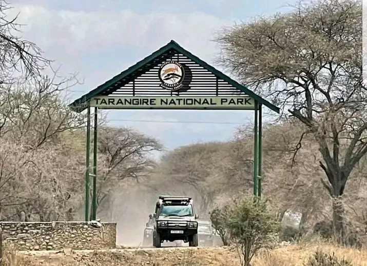 Tarangire National park Day Tour 