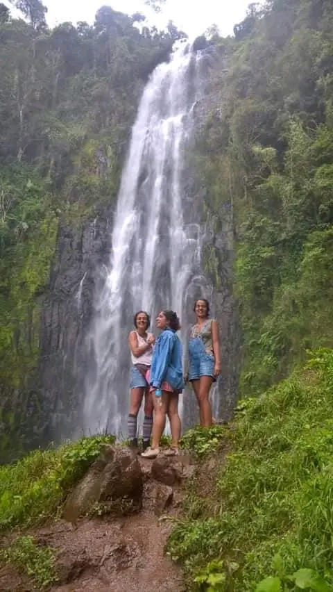 Arusha National park Private Safari Day Tour 